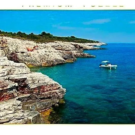 Stefanja Modern Retreat 풀라